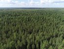 В Костромской области отменили противопожарный режим