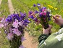 «Аномальная жара вернется, но с новым сюрпризом». Синоптики обновили прогноз с 20 июня