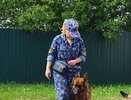 Вонзила кухонный нож в приятеля: 37-летняя костромичка не смогла решить конфликт словами