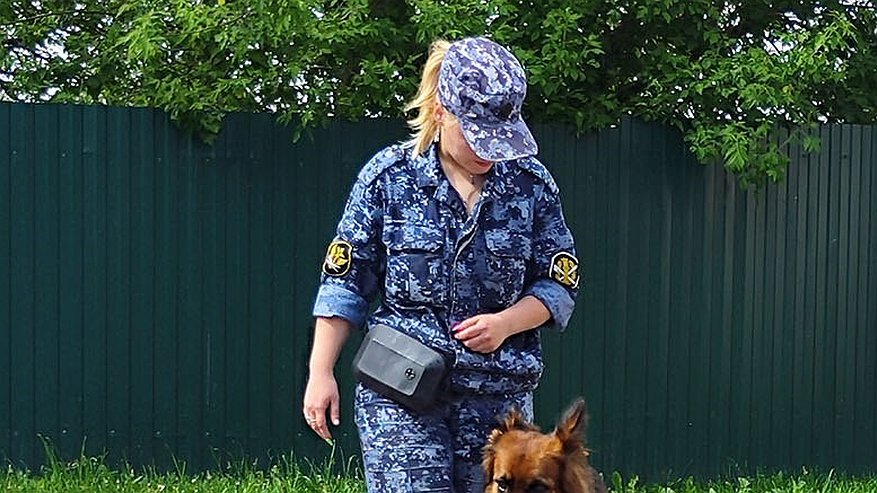 Главная картинка новости: Вонзила кухонный нож в приятеля: 37-летняя костромичка не смогла решить конфликт словами