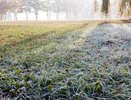 Похолодание на пороге: в Костромской области ожидаются заморозки