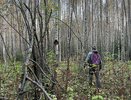 Два выстрела и значительный ущерб: в Костромском районе раскрыта нелегальная охота