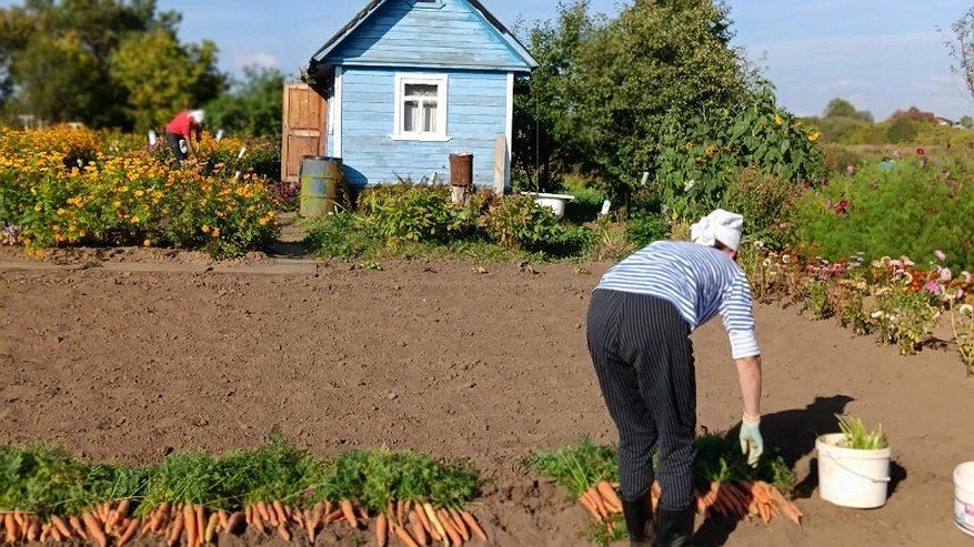 Главная картинка новости: Погода в Костроме на 10 дней от Фобос