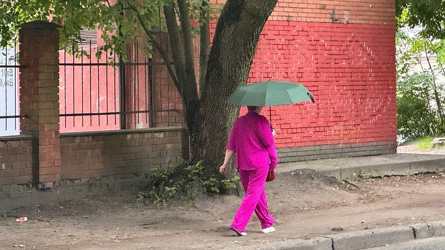 Главная картинка новости: «Аномальная жара до +35 вернется, но с подвохом». Синоптики дали точный прогноз с 21 июня