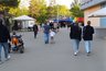 Миниатюра новости: На Костромскую область надвигаются грозы и сильный ветер