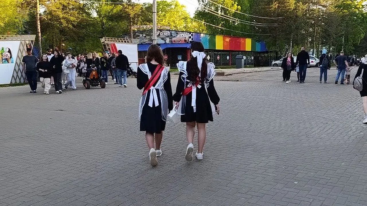 Главная картинка новости: В Костроме стартовала приемная кампания в ВУЗы и ССУЗы