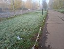 Летние заморозки до -2 градусов: костромичей предупредили о похолодании