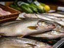 В СССР обожали эту рыбу со странным названием, а сейчас в продаже ее не найти: куда подевался тот самый вкуснющий муксун?