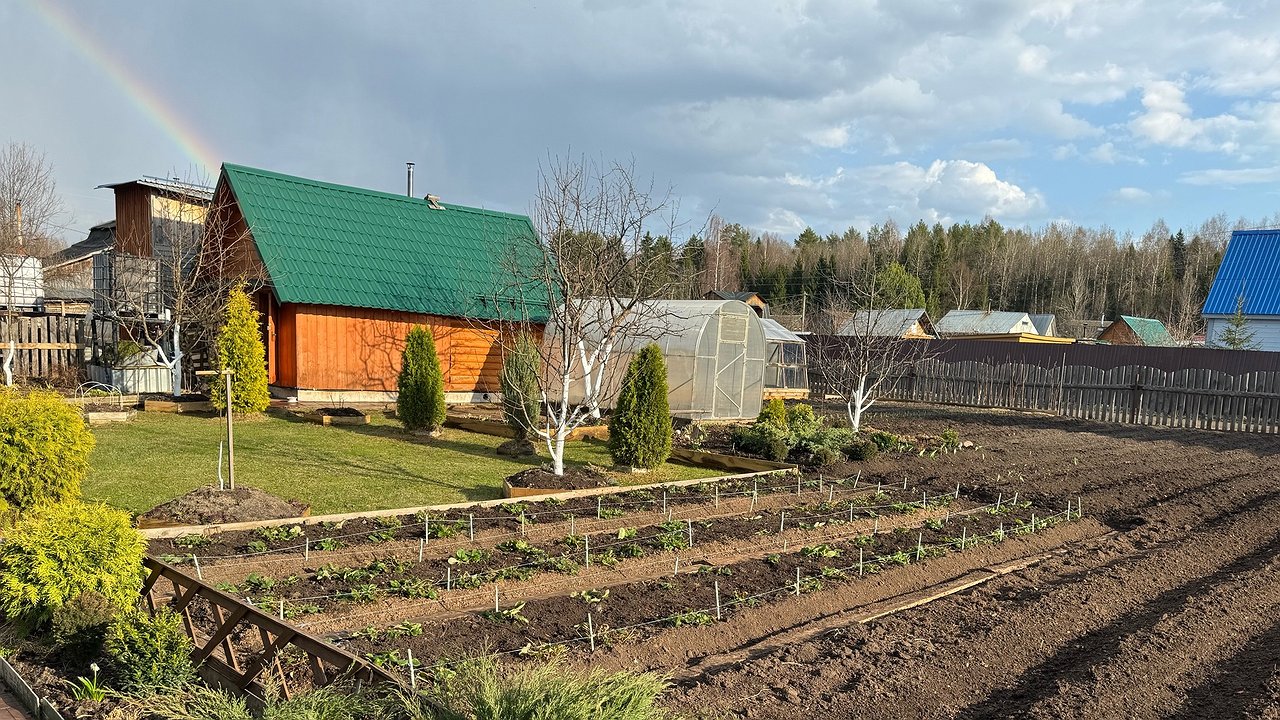 Главная картинка новости: Сорняки упадут замертво: всего 1 стаканчик на ведро воды — и огород засияет как райский сад