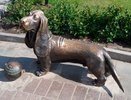 Украл деньги из благотворительной копилки и похитил смартфон: в Костроме полицейские по горячим следам раскрыли две кражи