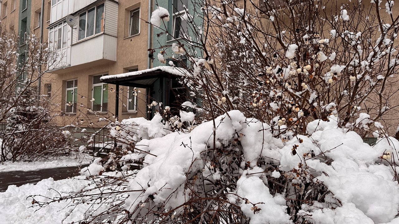 Главная картинка новости: Мороз и мокрый снег накроют Россию с 28 июня: Гидрометцентр меняет прогноз на конец месяца