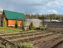Почему в СССР граждане получали именно 6 соток земли? Оказывается, эта цифра появилась неслучайно