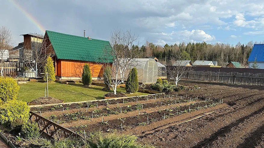 Главная картинка новости: Почему в СССР граждане получали именно 6 соток земли? Оказывается, эта цифра появилась неслучайно