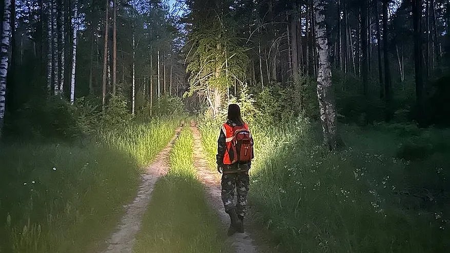 Главная картинка новости: В Костромской области пятый день ищут пропавшего 45-летнего мужчину