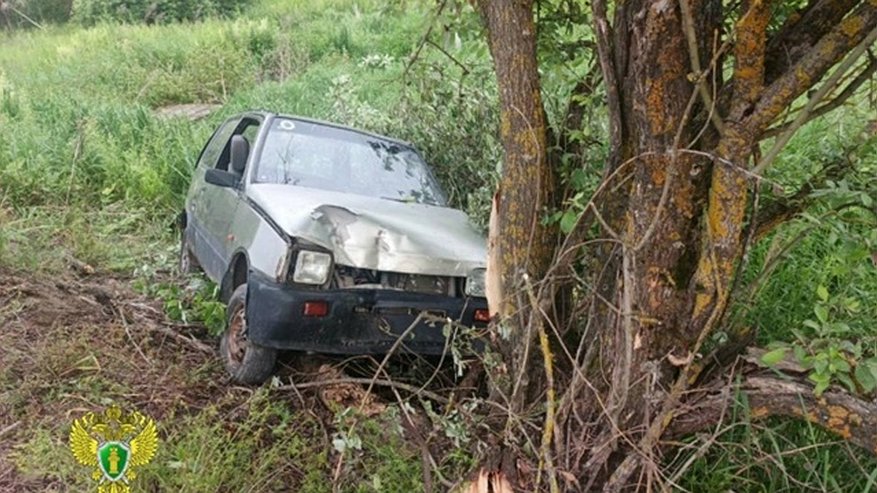 Главная картинка новости: Врезался в дерево: в Костромской области в ДТП погиб 16-летний водитель "Оки"