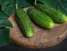 Заливаю марганцовый раствор в старые капроновые чулки: 7 кустов огурцов плодоносят без химии до конца сентября