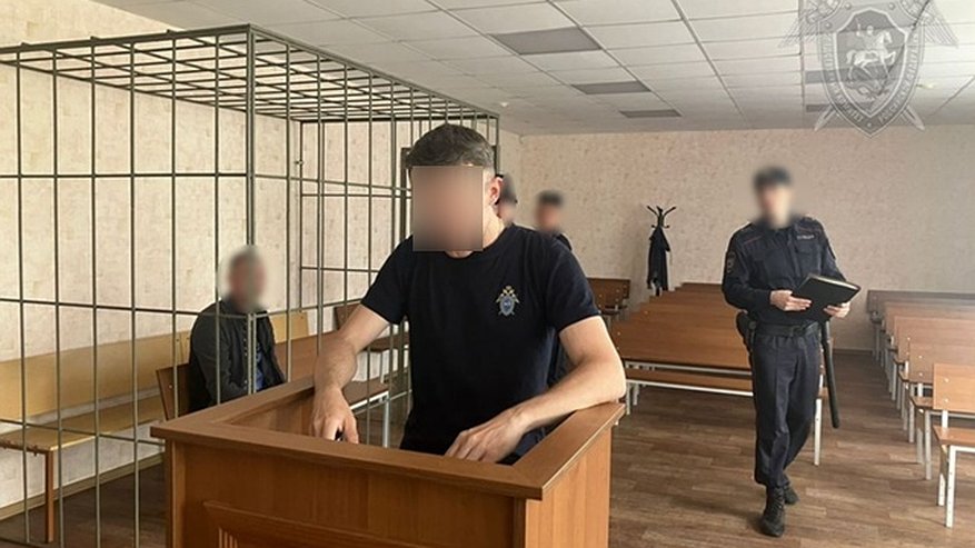 Главная картинка новости: Резал два дня: в Костроме 64-летний мужчина жестоко расправился с приятелем