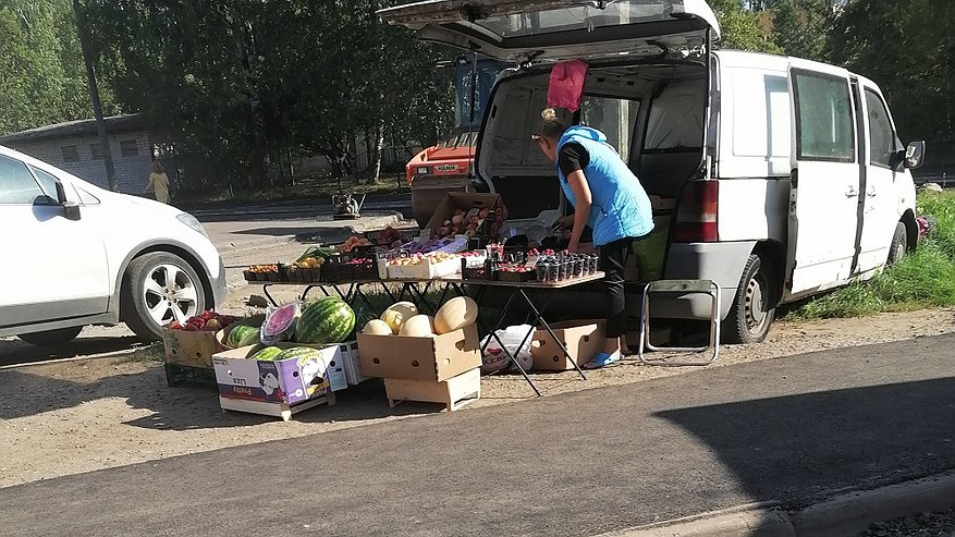 Главная картинка новости: В Костроме за неделю "прикрыли" 20 точек несанкционированной торговли
