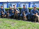 Пятерка пушистых стражей: бельгийские овчарки начали службу в костромском УФСИН