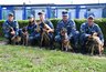 Миниатюра новости: Пятерка пушистых стражей: бельгийские овчарки начали службу в костромском УФСИН