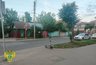 Миниатюра новости: В Костроме подросток на самокате попал под колеса иномарки