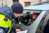 Миниатюра новости: Штраф 2000 рублей с носа за автомобиль такого цвета: в ГИБДД начались массовые проверки всех водителей