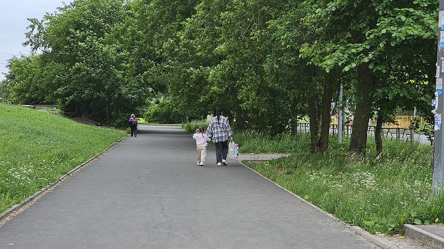 Главная картинка новости: Стало известно, какая погода ждет костромичей в июле