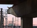 В Костроме спасли кота, который пять дней просидел на опоре путепровода