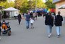 Миниатюра новости: Костромичей ждут грозы, ливень и сильный ветер