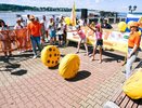 В Костроме впервые пройдет конкурс «44 Сыра» (0+)