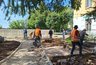Миниатюра новости: Костромской сквер со слоником планируют отремонтировать к осени