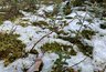 Миниатюра новости: Холода возвращаются: Гидрометцентр сообщает о морозах и мокром снеге с 7 июля