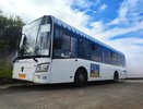 В Костроме четыре автобуса вновь будут ходить по проспекту Текстильщиков