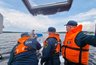 Миниатюра новости: В Костроме поймали  96 нарушителей на моторных лодках