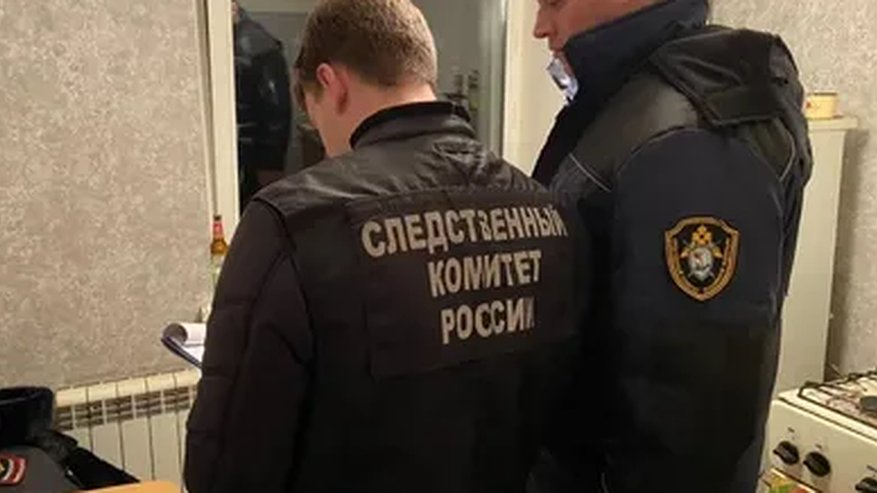 Главная картинка новости: В Костромской области 45-летняя женщина едва не убила своего брата