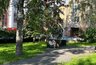 Миниатюра новости: Холода наконец-то позади, дождались жары: Вильфанд обновил прогноз на июль и порадовал россиян