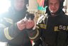 Миниатюра новости: Костромские спасатели помогли котенку, который застрял в гипсокартонной перегородке