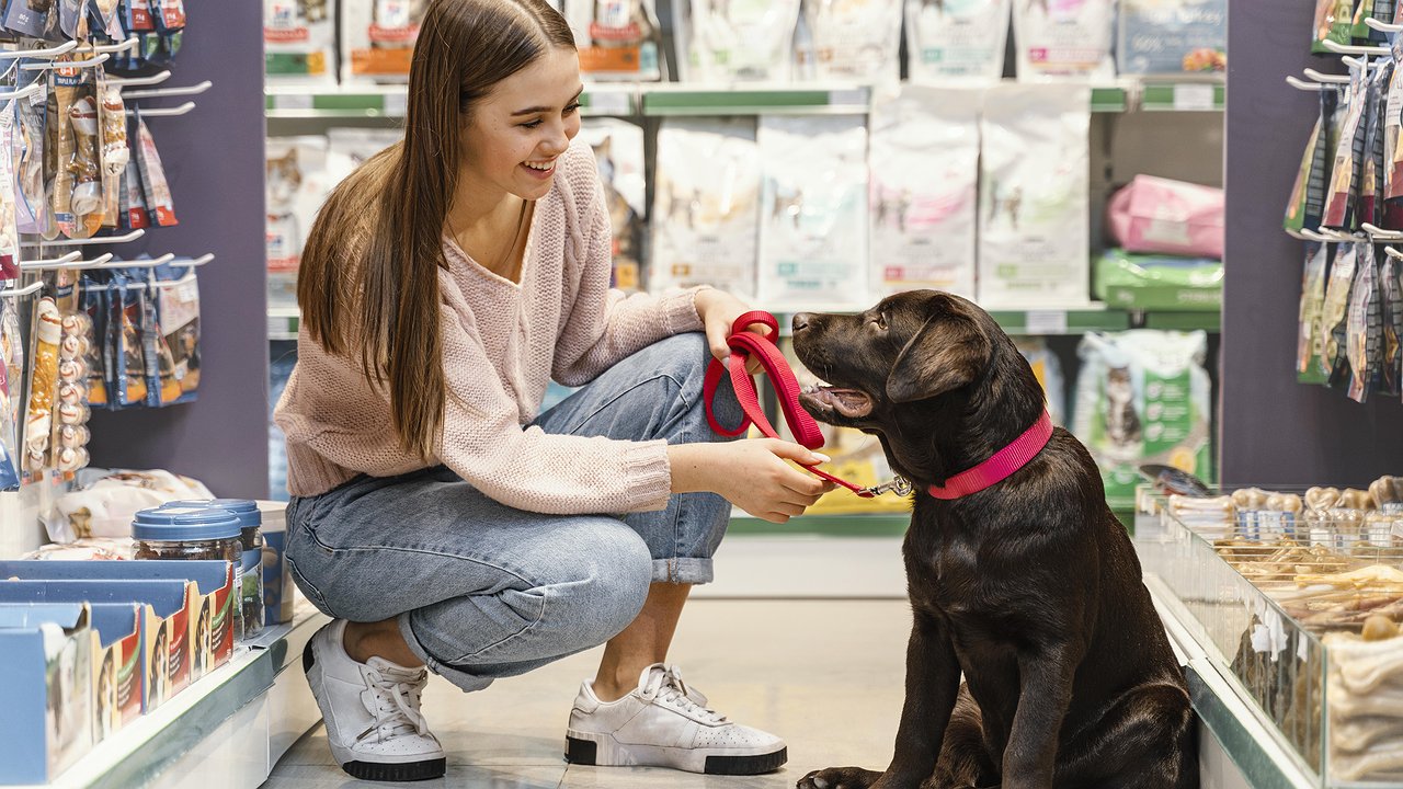 Главная картинка новости: Отвечает юрист: можно ли заходить в магазины с собакой?