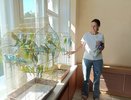 Костромская сельхозакадемия пристраивает 44 волнистых попугая