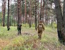 Жителя Неи оштрафовали за лесной пожар: сгорел почти гектар леса