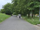 В Костроме за 18 миллионов рублей благоустроят Ботниковский сквер