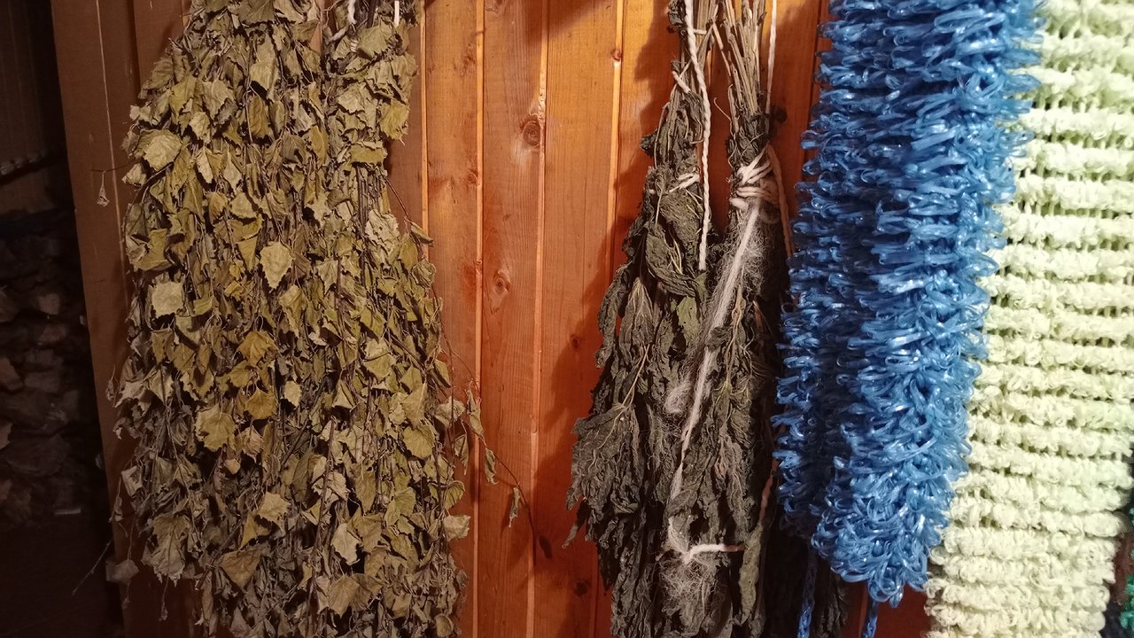 Главная картинка новости: В Германии местный житель увидел россиянина — и затопил ему баню: парились по-немецки с его женой и дочкой