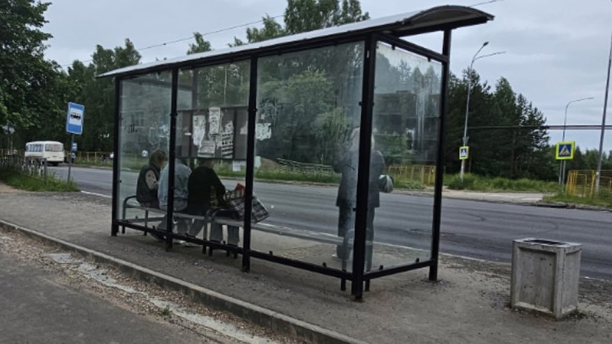 Главная картинка новости: В Костроме вычислили подростка, который бросал камни в стекло остановки