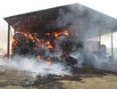 Полиция Костромской области нашла виновников пожара на конезаводе