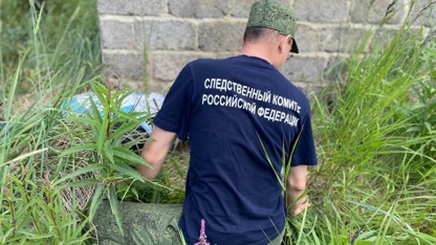 Главная картинка новости: 18-летняя костромичка обвиняется в сбыте наркотиков в составе ОПГ