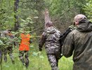В Костромской области уже 10 дней не могут найти 75-летнего мужчину, который ушел в лес