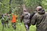 Миниатюра новости: В Костромской области уже 10 дней не могут найти 75-летнего мужчину, который ушел в лес