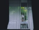 1 ложка в таз — и тюль станет чище нового: ни пятен, ни серости, ни желтизны — идеальная чистота
