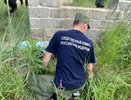 В Костроме задержаны "закладчики" с крупной партией наркотиков