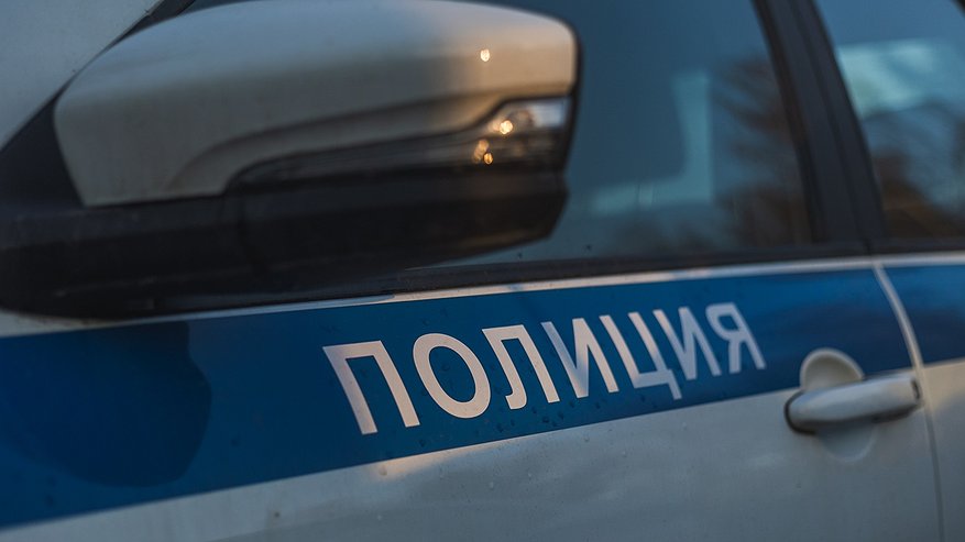 Главная картинка новости: 18-летняя закладчица наркотиков из Костромы помещена в СИЗО